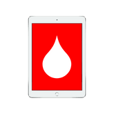 iPad Pro 11-inch Water Damage Repair Service